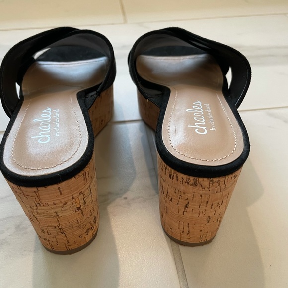 charles david slides